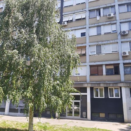 Blue Danube Apartment Beograd Ngoại thất bức ảnh