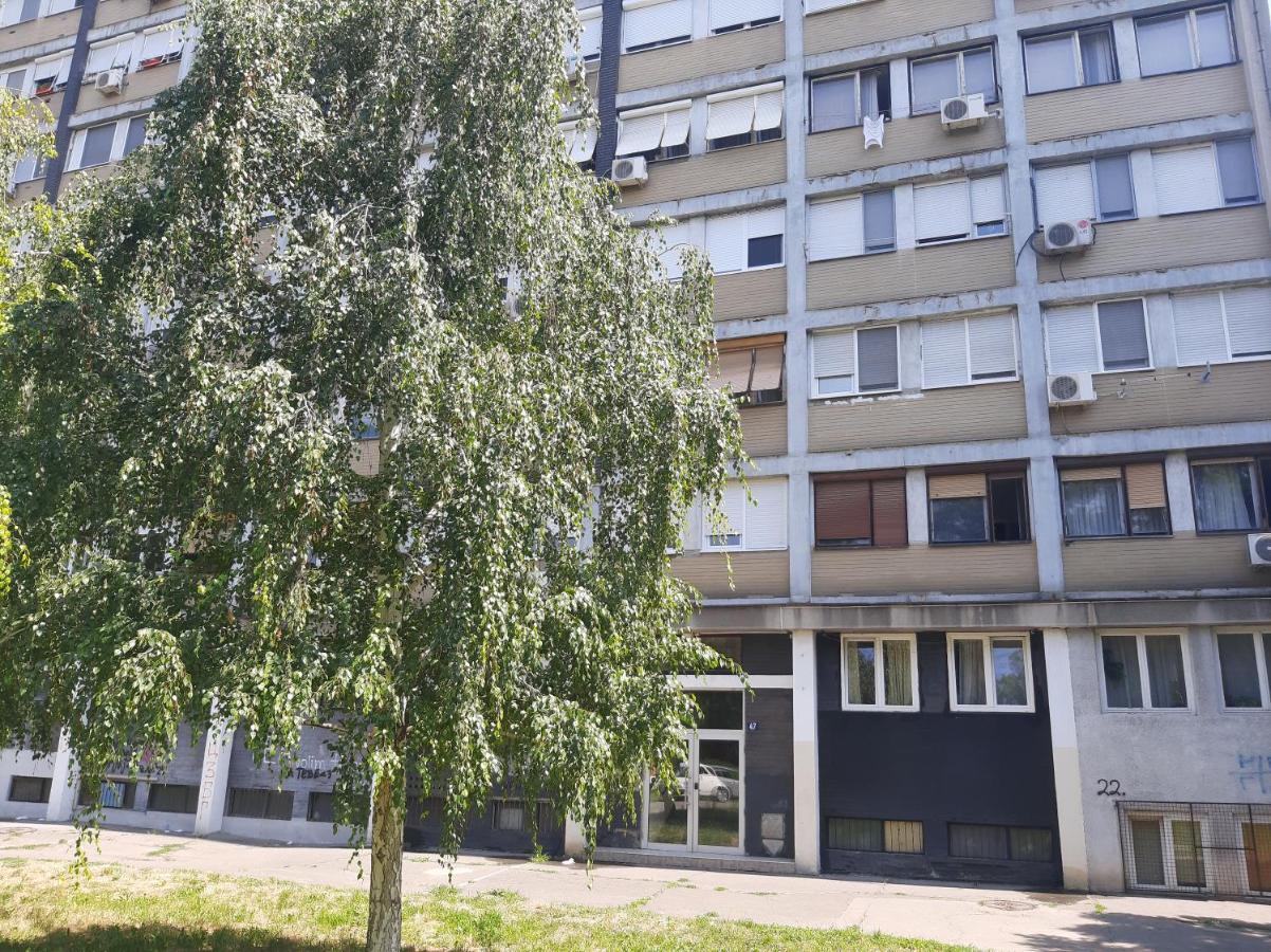 Blue Danube Apartment Beograd Ngoại thất bức ảnh